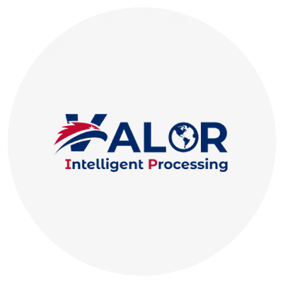 “Valor Intelligent Processing” logo with a stylized eagle and globe motif. "Valor Intelligent Processing" logo with a stylized eagle and globe motif.